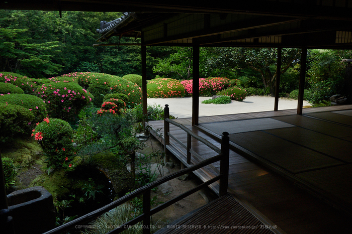 お写ん歩: OLYMPUS OM-D E-M5 MarkIIアーカイブ お写ん歩: OLYMPUS OM-D E-M5 MarkIIアーカイブ